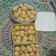 Cooksnap dari Lisdya Ningsih untuk resep Nastar klasik & keju