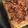 El cooksnap de Romi Flores cuando hizo Chocotorta 😋.