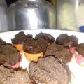 Cooksnap dari Widya Nirbita untuk resep Brownies mekar no telur no mixer no oven