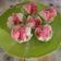 Cooksnap dari Elva Alpiah untuk resep Bolu kukus mekar lembut kempus2