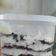 Cooksnap dari Fadilah Ummu Muhammad untuk resep Oreo cheesecake