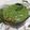 Binita Makwana's cooksnap of when they made ગ્રીન ચટણી (Green Chutney Recipe In Gujarati).