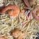 Cooksnap Doris Crossley semasa beliau membuat Seafood Spaghetti Aglio Olio.