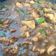 Cooksnap dari marianaevi untuk resep Chicken Blackpepper