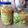 Mei Lan Royall 的 台式泡菜(2) cooksnap