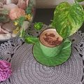 صورة من سما سما، شاركها بعد تجربة وصفة كابوتشينو بالنسكويك