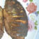 Cooksnap dari Heni Yuli Astuti untuk resep Ikan Bakar Teflon (Ikan Nila)