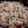 Krishna Dholakia's cooksnap of when they made Jhatpat Pulav.
