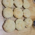 chapliniva76's cooksnap of when they made No Knead Yeast Rolls.