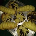 Cooksnap dari Dyta Daveena untuk resep Roti manis