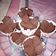 Cooksnap dari Annie Marnie untuk resep Eggles brownies kukus tepung beras