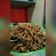 Cooksnap dari ophie sopiyani untuk resep Kering tempe teri kacang