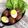 Cooksnap dari Kiki Fhatria untuk resep 243. Telur Pindang Coklat