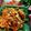 Polly Basu's cooksnap of when they made মাছের মাথা দিয়ে মুড়িঘণ্টো.