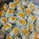 Cooksnap dari Hera Lau untuk resep Siomay dimsum ayam udang