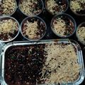 Cooksnap dari Nur Buana Pangastuti untuk resep Brownies Lumer Cup Dessert