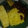 Cooksnap dari Andini Dini untuk resep Nasi kuning magic com