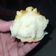 Cooksnap dari nadia septiana rosa untuk resep Chigiri Condensed Milk Bread