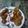 sangeeta arora's cooksnap of when they made Bread Roll.
