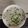 Rita mehta's cooksnap of when they made Cheesey onion and tomato raita.