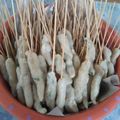 Cooksnap dari Tri sudiarty untuk resep Sempol Ayam untuk Jualan