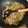 李淑玲 的 #153 打拋豬肉 2 cooksnap