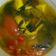 Cooksnap dari Liena Ilen untuk resep Sup ikan kerapu mudah lezat sehat