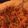 El cooksnap de cata69 cuando hizo Espagueti con Salsa Roja de Moluscos .