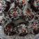Cooksnap dari Dapoer ibune dli untuk resep Brownies Kukus Chocolatos serba 6 sendok