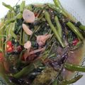 Cooksnap dari Juju Juarsih untuk resep 2. Cah Kangkung Saori Saus Tiram Praktis