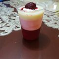 El cooksnap de Dania Pantoja Ramos cuando hizo Postre de Yogur & Gelatina .