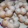 Cooksnap dari Viona untuk resep Chapssal (Donat Ketan Korea)