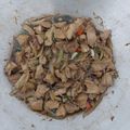 Cooksnap dari Tria untuk resep Chicken Teriyaki ala Hokben with Saori