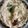 Danisha David's cooksnap of when they made மசாலா சேமியா(masala semiya recipe in tamil).