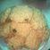 El cooksnap de Lucre Yauza cuando hizo Galletas de Granola super fáciles!.
