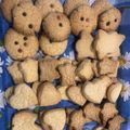 کوک اسنپ parastoo karimi بعد از امتحان کردن بیسکویت تُرد ساده و خوشمزه من 😋👌مامان دیاناپز👩‍🍳.