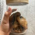 Cooksnap dari amelrahma untuk resep Cookies Silverqueen mix Chocochip(Soft & Chewy) 🍪
