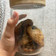 Cooksnap dari amelrahma untuk resep Cookies Silverqueen mix Chocochip(Soft & Chewy) 🍪