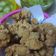 Cooksnap dari Felisia Erina untuk resep Ayam krispi (ala ala pok pok atau aichiro)