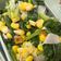 Cooksnap dari Ela untuk resep 894. Tumis Jagung, Sawi Hijau