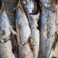 Cooksnap από Maria Pasvanti στη συνταγή Μυρωδάτος γαύρος στον φούρνο