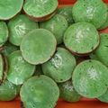 Cooksnap dari Bambang Eko Setyawan untuk resep Kue Pukis bulat
