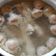 Cooksnap dari tia tamara untuk resep Kuah Bakso Homemade (dari Ceker Ayam)