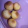 Cooksnap dari Ayu Gusty Fibriliyana untuk resep Donat sate (modifikasi killer soft bread)