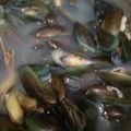Cooksnap dari yulia afraini untuk resep Kerang rebus kuah gurih