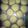 El cooksnap de Mily Pacheco cuando hizo Cupcakes fáciles.