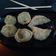 Poonam Singh का कुकस्नैप जब उन्होंने वेज मोमोज (veg momos recipe in hindi) बनाया था।