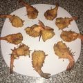 El cooksnap de Sergio Friz cuando hizo Camarones al Coco.