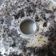 Cooksnap dari Sary Ndae Yudianto untuk resep Puding Oreo Vanilla
