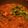 itsnoel's cooksnap of when they made Mum's Chicken Curry.